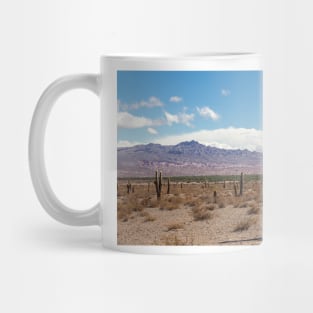 Cardón in Parque Nacional Los Cardones - Argentina Mug